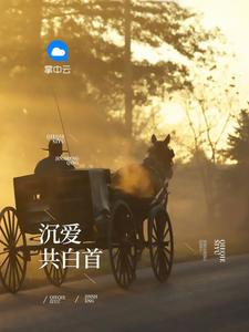 职场风云路无弹窗